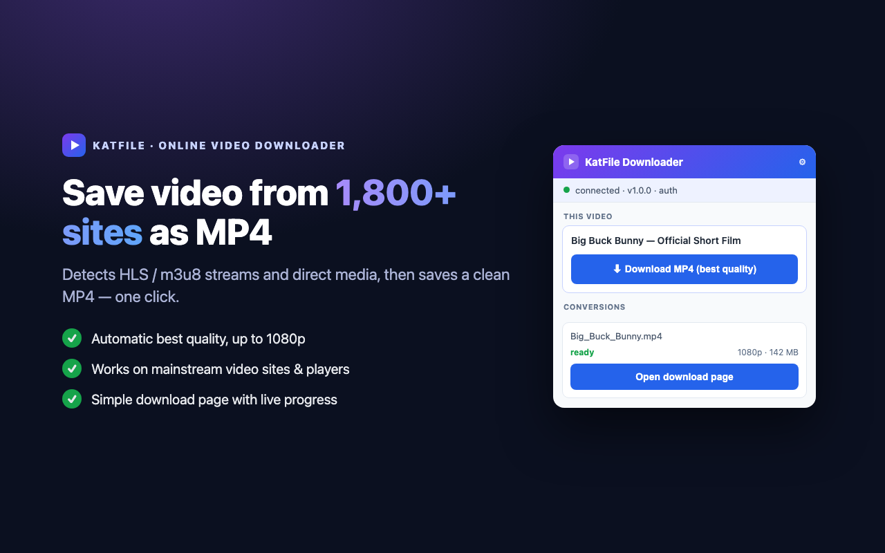 KatFile extension popup
